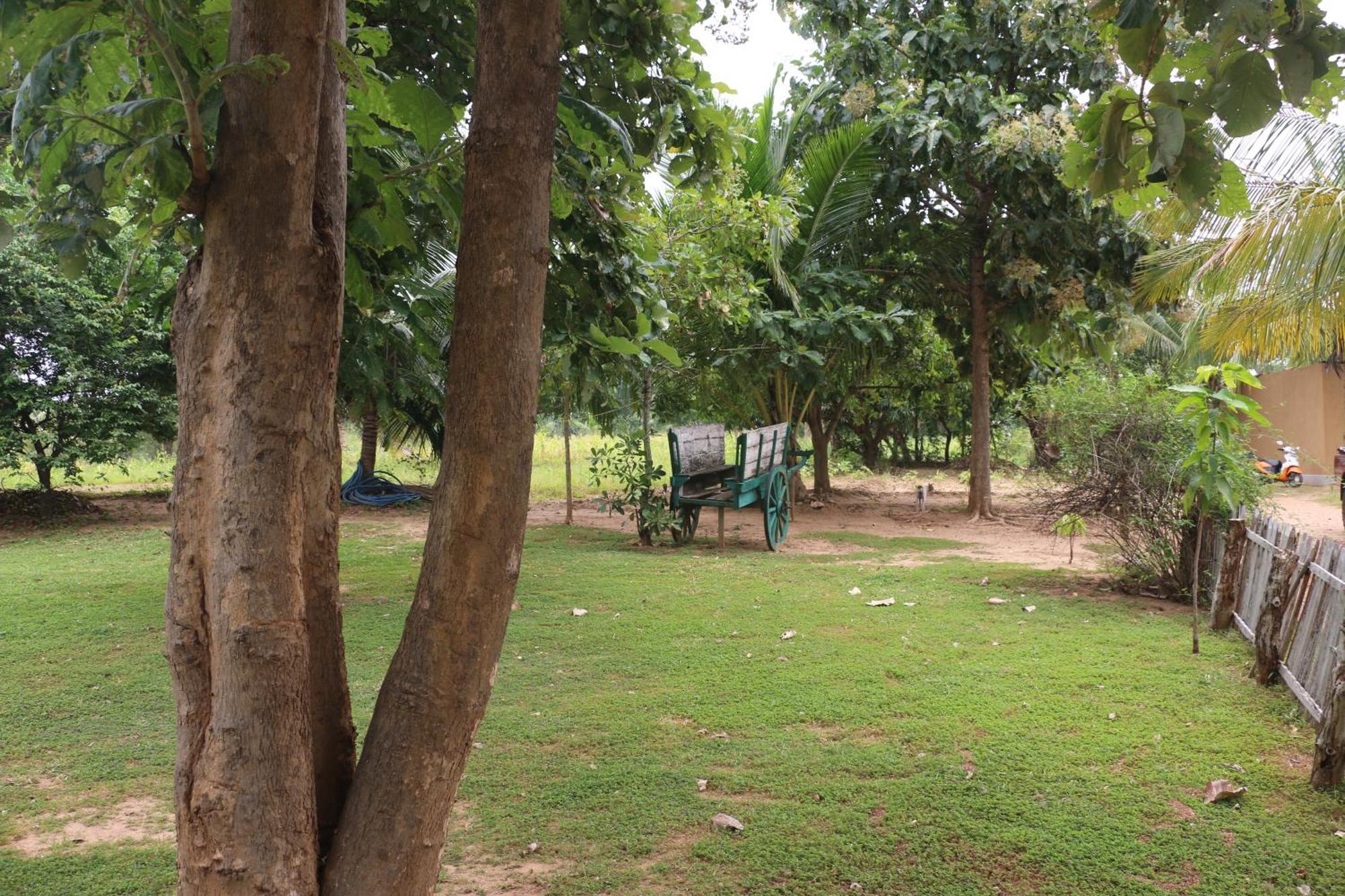 Wildescape, Yala Blocks 3 & 5 Villa Buttala Exterior photo