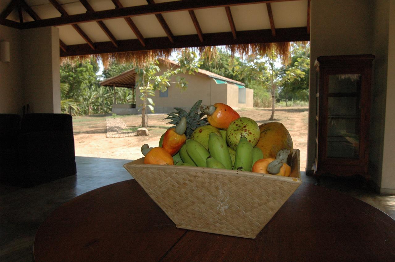 Wildescape, Yala Blocks 3 & 5 Villa Buttala Exterior photo