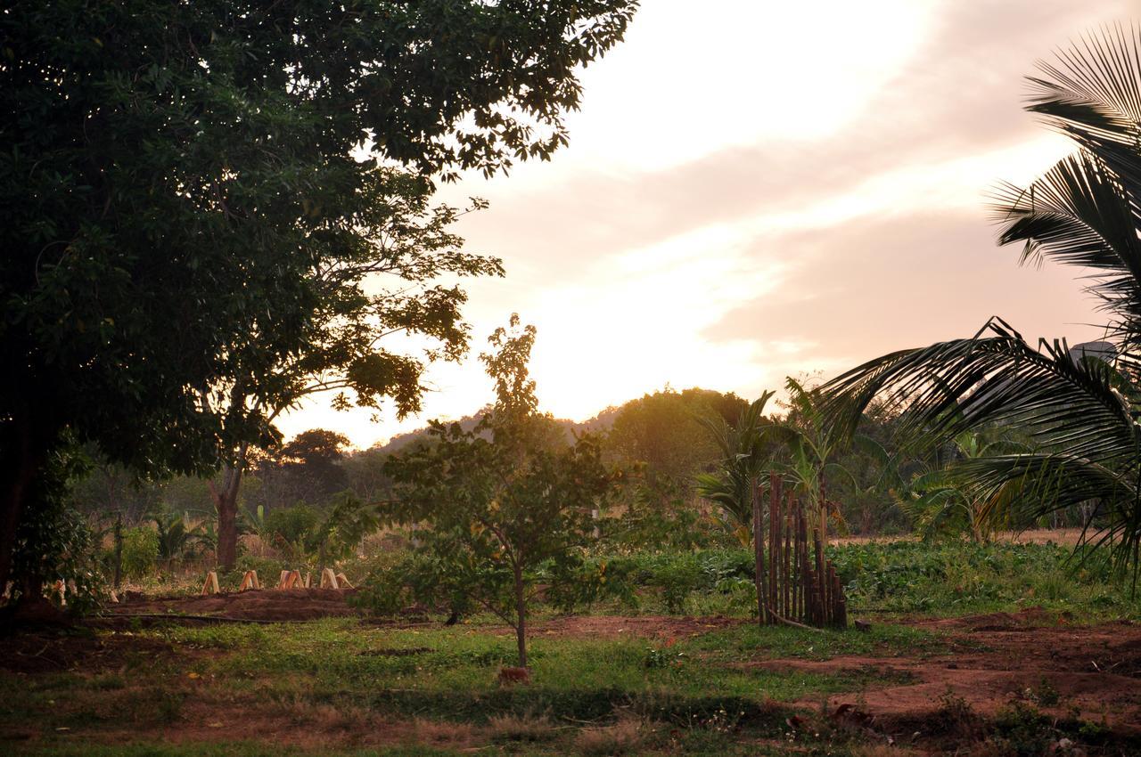 Wildescape, Yala Blocks 3 & 5 Villa Buttala Exterior photo